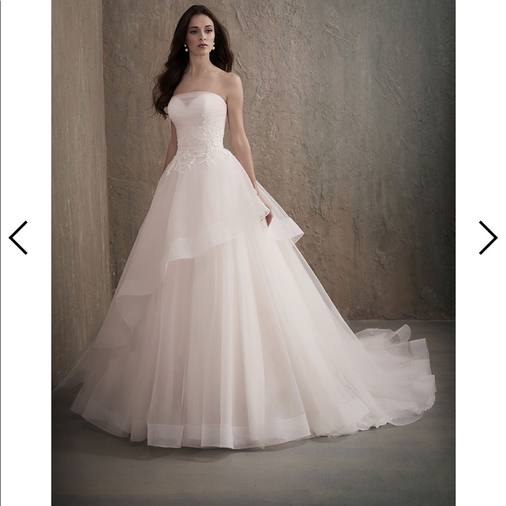 Adrianna Papell Blush Wedding Gown